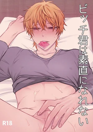 Bitch-kun Không Thể Thật Lòng