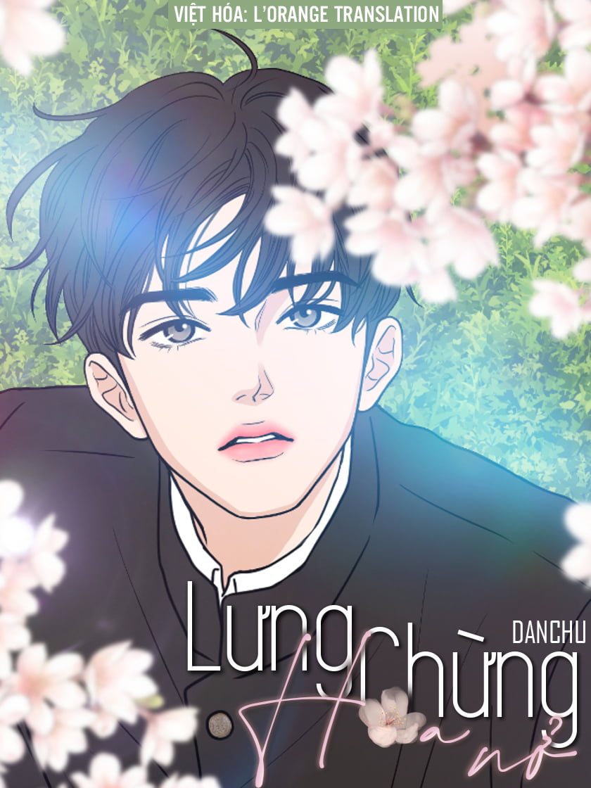 [DROP] Lưng Chừng Hoa Nở